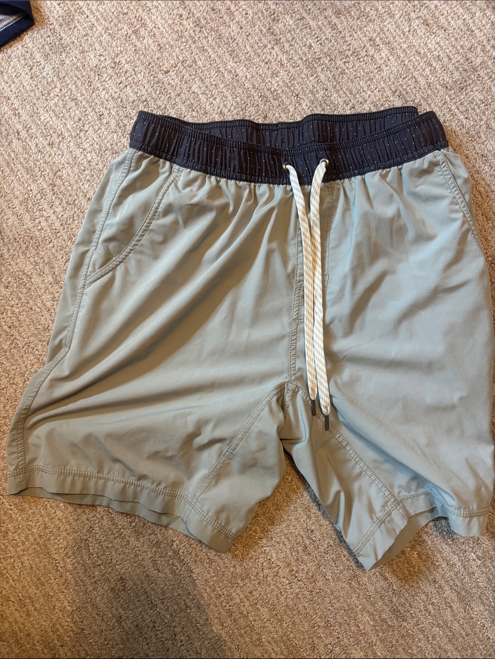 Men's Swim Shorts in Sage/ light blue with navy Waistband
